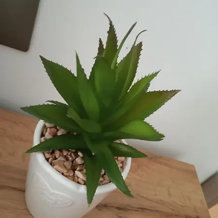 Apartament Marine *